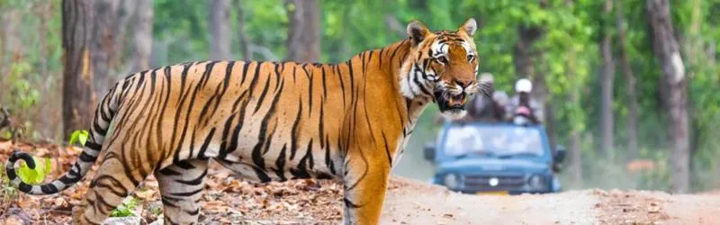 6 Day / 5 Night Nainital / Jim corbett Tour