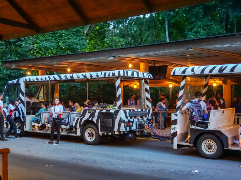 Tour Packages Of Singapore 3 Nights - 4 Days