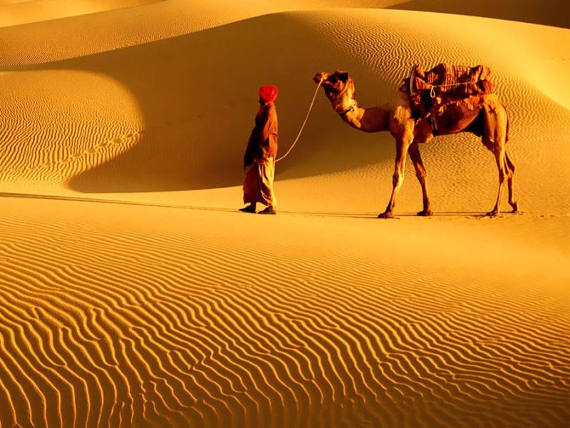 Rajasthan Students Tour Package