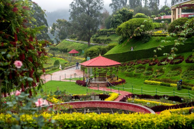 Mysore – Coorg Students Tour Package