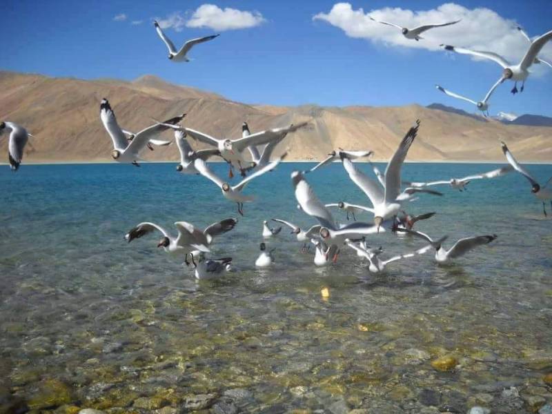 4 Nights & 5 Days Leh- Ladakh Tour
