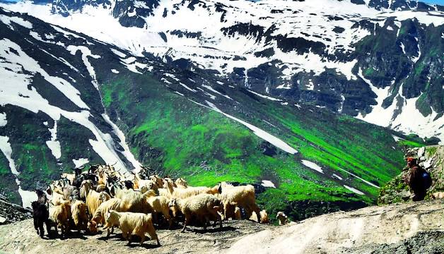 2 Night 3 Days Bagdogra Airport / New Jalpaiguri Railway Station  To Darjeeling