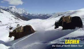 8  Night 9 Days Bagdogra Airport to Gangtok Tour