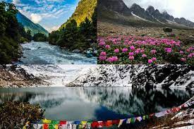 8  Night 9 Days Bagdogra Airport to Gangtok Tour