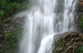 8  Night 9 Days Bagdogra Airport to Gangtok Tour