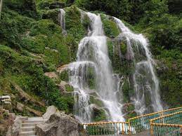8  Night 9 Days Bagdogra Airport to Gangtok Tour