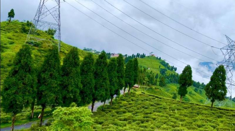 3 Night 4 Days  Bagdogra Airport  Darjeeling tour Package