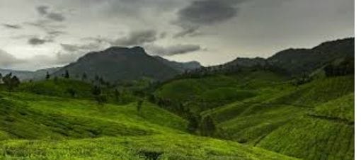 6 Night, 7 Days Kerala and Tamil Nadu