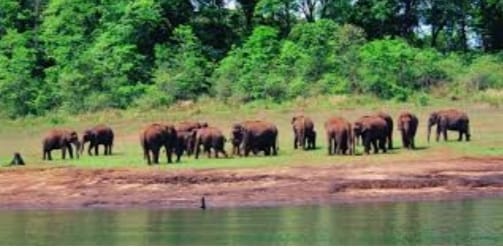 6 Night, 7 Days Kerala and Tamil Nadu