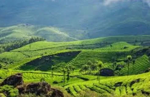 6 Night, 7 Days Kerala and Tamil Nadu