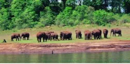 6 Night, 7 Days Kerala and Tamil Nadu