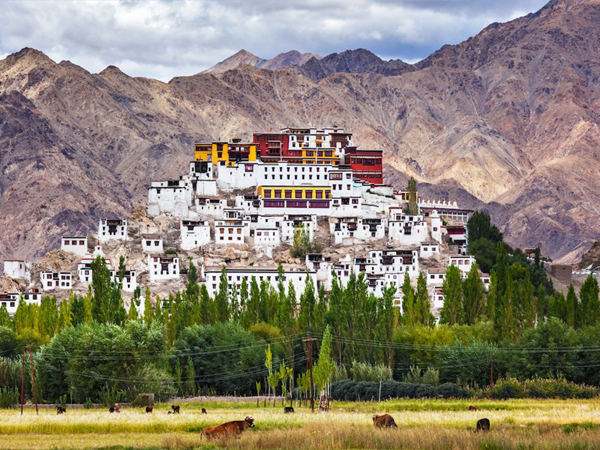 10 Days Leh Ladakh Tour