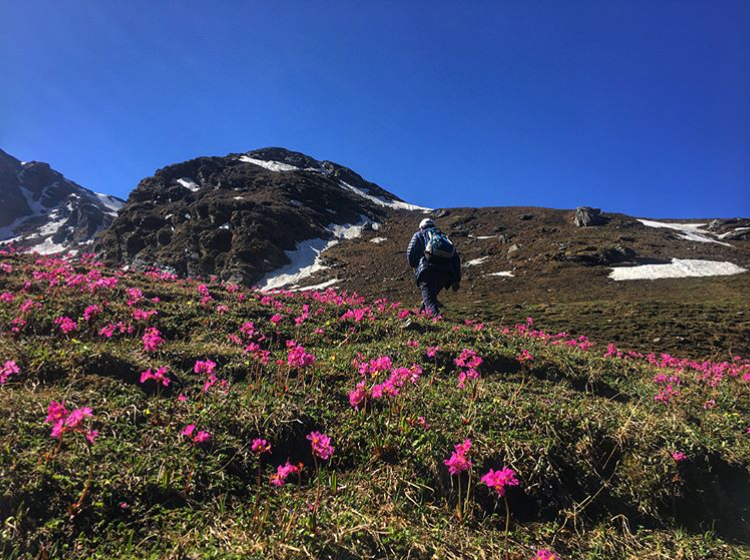 Malana Kasol 3 Night 4 Day Trip Package