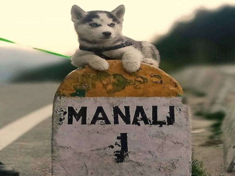 Manali Tour Package 6 Day 5 Night