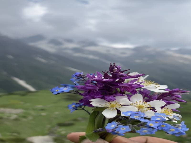 5night 6 Day Dav Roopa Trek