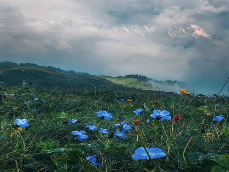 5night 6 Day Dav Roopa Trek