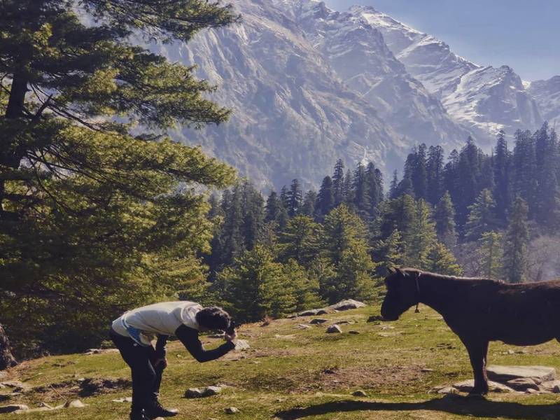 Kheerganga Trek 2 Day 1 Night