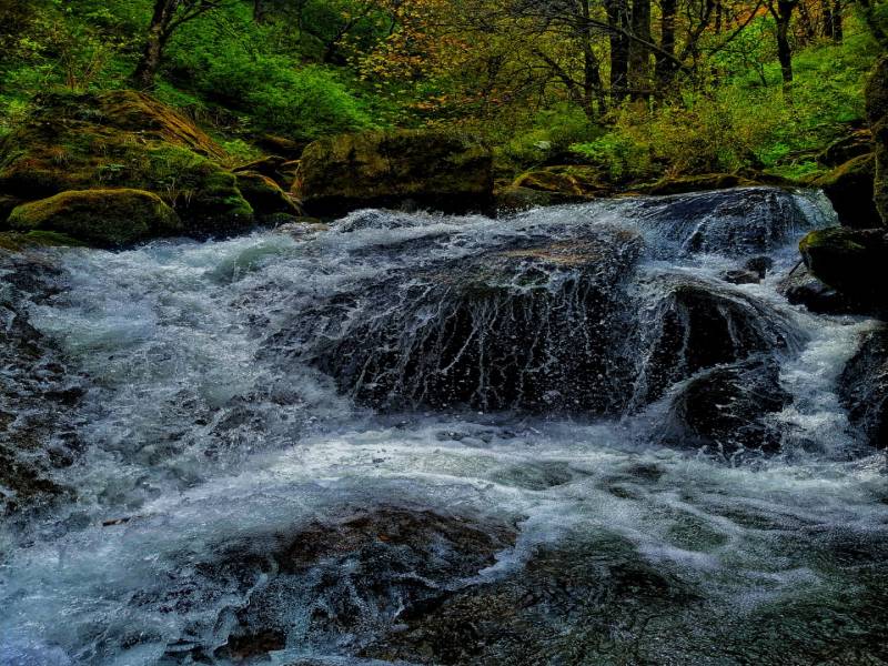 Climbing or Rappelling in Kasol and Explore Hidden Places