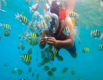 5 Nights 6 Days Port Blair - Havelock - Neil Island Tour