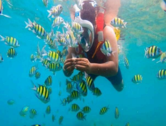 04 Nights - 05 Days Port Blair - Havelock - Neil Island Tour