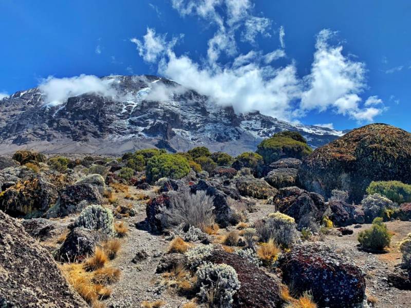 6 Days Machame Route - Mount Kilimanjaro Hiking - Climbing - Trekking