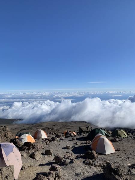 7 Days  Rongai Route - Mount Kilimanjaro Hiking - Climbing - Trekking