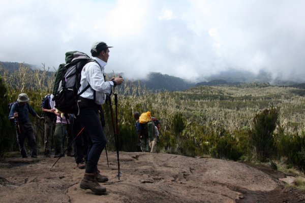 7 Days  Rongai Route - Mount Kilimanjaro Hiking - Climbing - Trekking