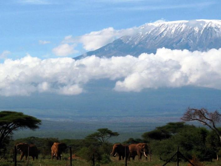 6- Days-Marangu Route -Mount Kilimanjaro Trekking