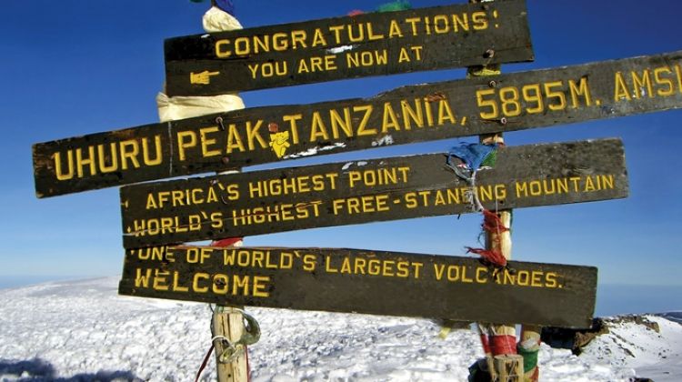 7- Days -Lemosho Route-Mount Kilimanjaro Trekking