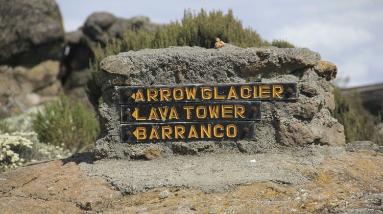 6- Days -Rongai Route-Mount Kilimanjaro Trekking