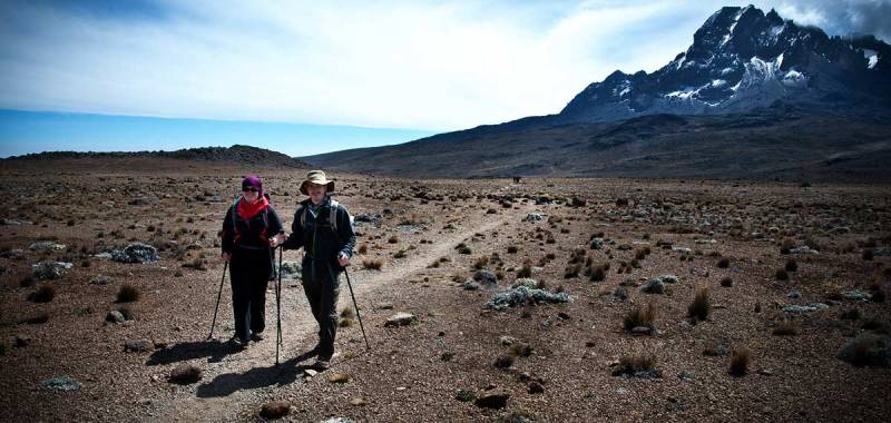 7- Days -Rongai Route-Mount Kilimanjaro Trekking