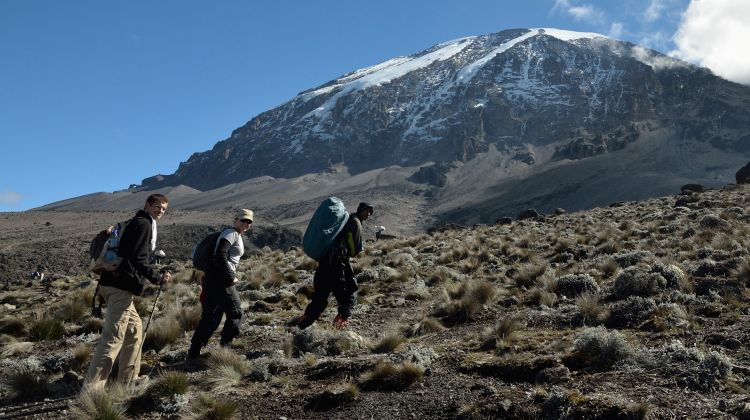 7- Days -Rongai Route-Mount Kilimanjaro Trekking