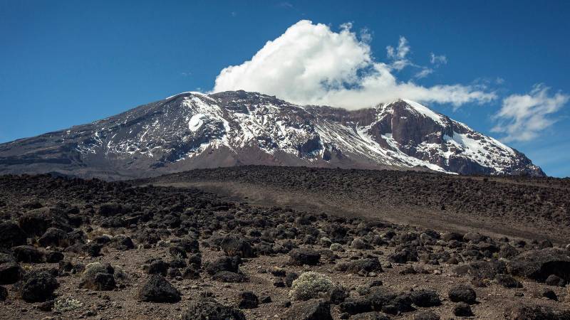 8- Days -Umbwe Rongai Route-Mount KIlimanaro Trekking