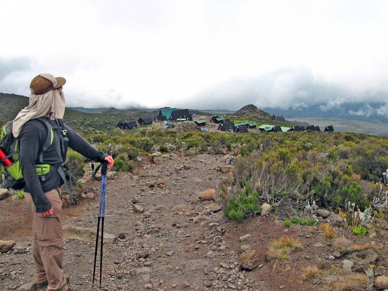7 Days Umbwe Route Private Trekking Tour Itinerary For Moshi & Mount Kilimanjaro