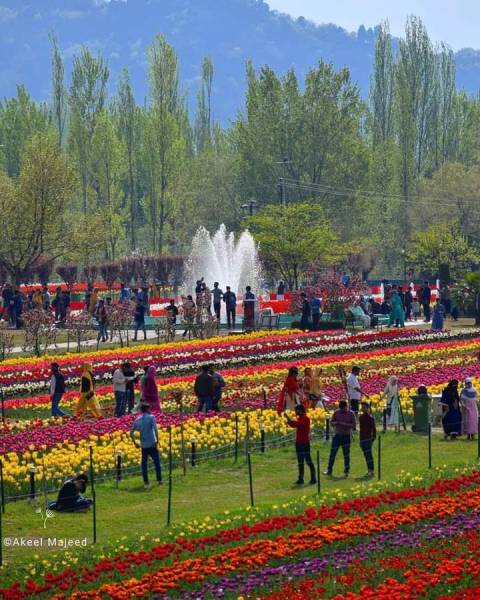 4 Nights 5 Days Kashmiri Tour Package
