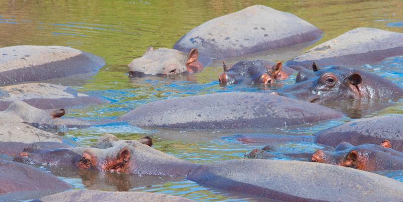 3 Days Tanzania Lodge Safari