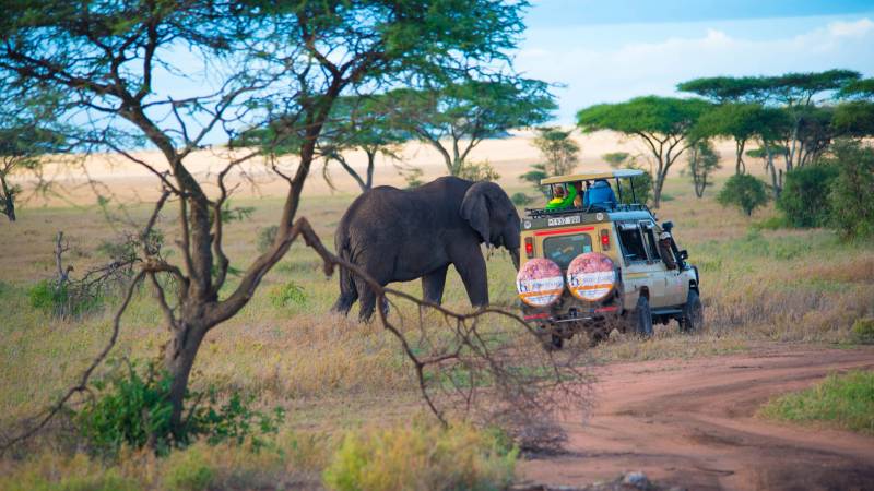 3 Days Tanzania Lodge Safari