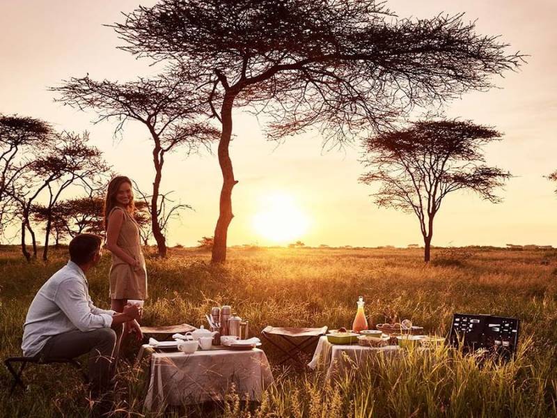 The Great Migration Safari