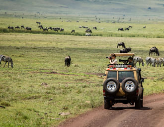 3 Days Short Safari To Tarangire, Ngorongoro Crater And Lake Eyasi