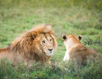 3 Days Short Safari to Tarangire, Ngorongoro Crater and Lake Eyasi