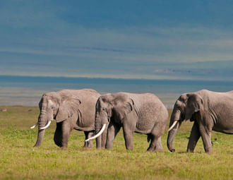 3 Days Short Safari to Tarangire, Ngorongoro Crater and Lake Eyasi