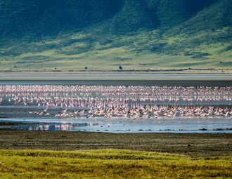 3 Days Short Safari to Tarangire, Ngorongoro Crater and Lake Eyasi