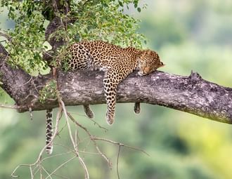 3 Days Short Safari to Tarangire, Ngorongoro Crater and Lake Eyasi