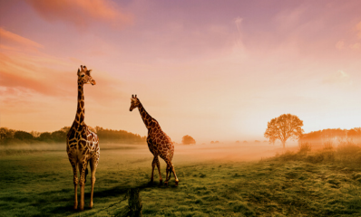 Tanzania Family Adventure