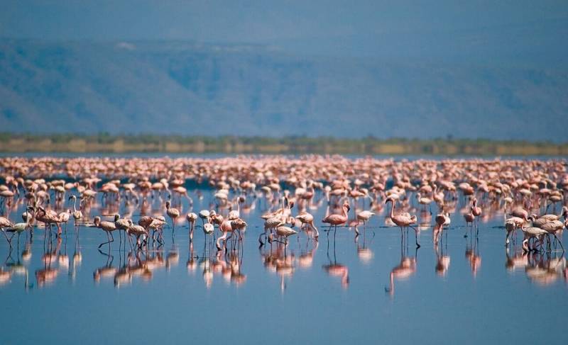 Tanzania Family Adventure