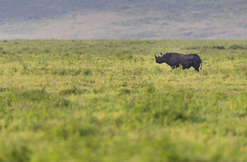 Tanzania Family Adventure