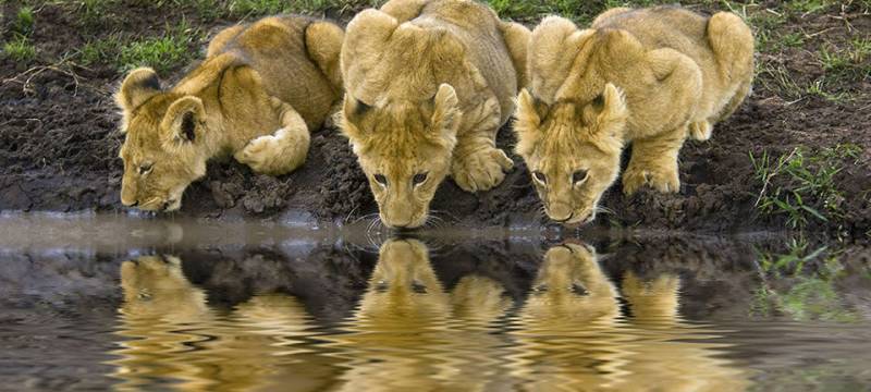 Tanzania Family Adventure