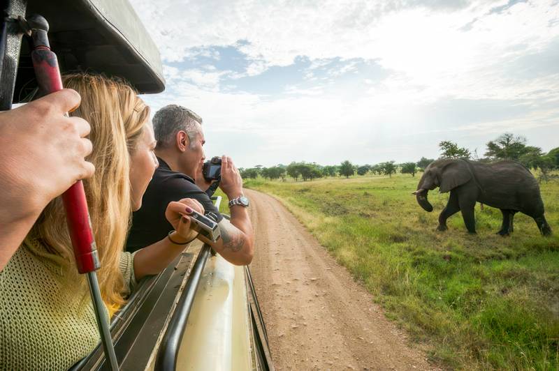 Full-Day Trip To Tarangire National Park
