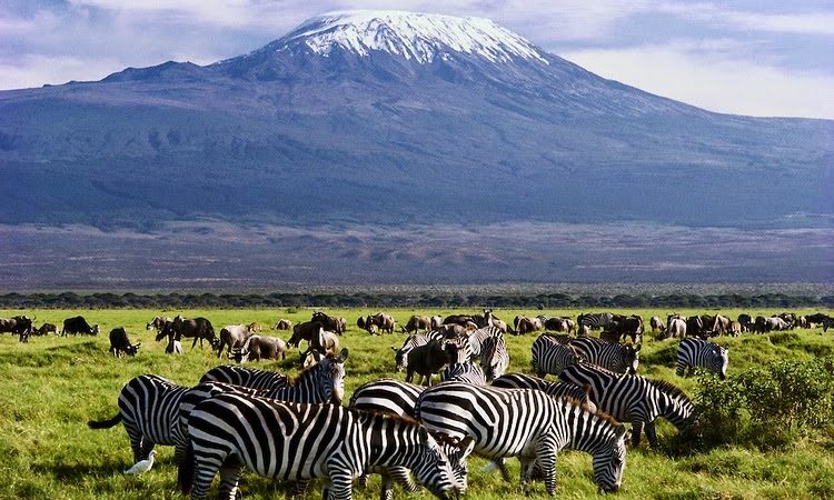 6 Days Amboseli - Lake Naivasha And Mara Mid-Range Kenya Safari Tour