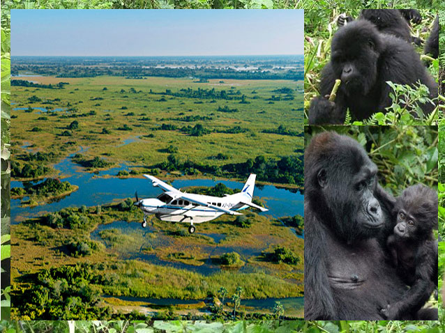 4 Days Uganda Gorilla Trek Flying Safari Tour